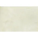 KAI Flora - Obklad green 20x30, 8066