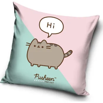 Polštář Carbotex Dětský polštářek Kočička Pusheen Já Košišta