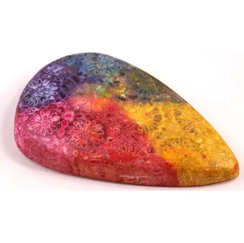 Přírodní kámen Kabošon Fossil Coral č.8313 (40x25x7mm)