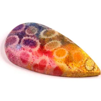 Přírodní kámen Kabošon Fossil Coral č.8307 (40x20x6mm)