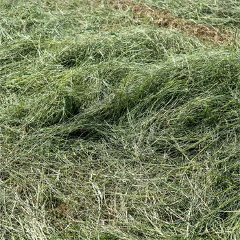 Krmivo pro hlodavce Świateka krmivo seno 3 kg