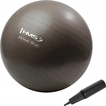 Gymnastický míč Klasický míč HMS 65 cm béžová a hnědá