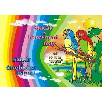Výtvarný papír Skicák A4/10l 160g kolor mix PROTOS