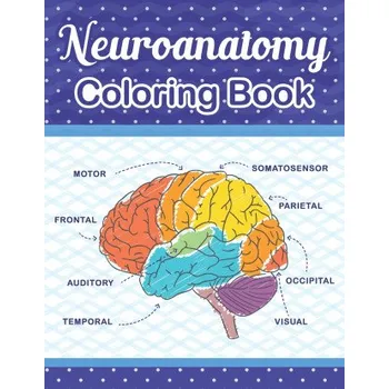 Neuroanatomy Coloring Book: The Ultimate Human Brain student's self-test Coloring book for Neuroscience. The Human Brain Anatomy Coloring Book for Neuroscience Nurses Doctors medical and Nursing students. – Publication Cambaumniel Publication (EN)