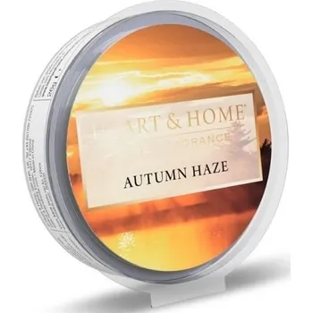 ALBI 097_Barvy podzimu vonný vosk - autumn 25