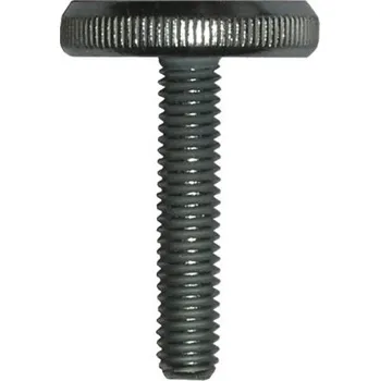 Šroub Šroub s vroubkovanou hlavou DIN 653 nízký M10x20 mm galvanicky pozinkovaný, 1 ks