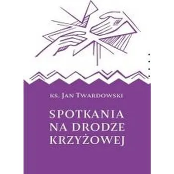 Spotkania na drodze krzyżowej - Jan Twardowski