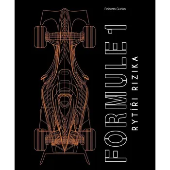Formule 1 - Rytíři rizika