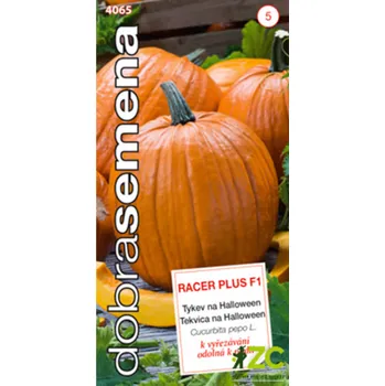 Semeno Dobrá semena Tykev velkoplodá - Racer Plus F1 PMT halloween