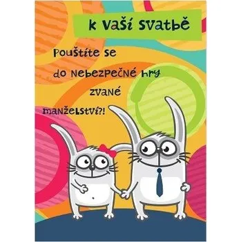 ALBI Svatební přání - Hra o manželství