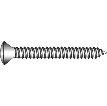 Spojovací materiál Šroub do plechu 4,8x45 mm čočkovitá hlava TX25 nerez ocel A4 1 ks