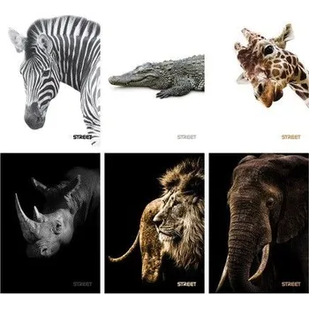 Sešit Sešit A5 56 listů Safari nelinkovaný