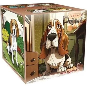 Pexeso Pexeso A4 pejsci