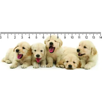 Pravítko 3D - Retriever puppies deep