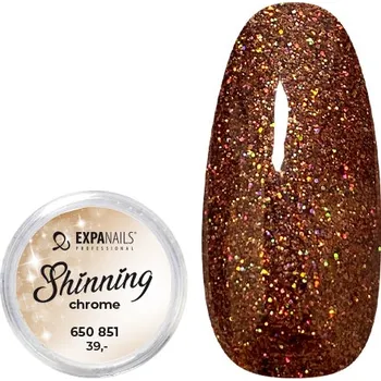 Třpytky - Shining Chrome glitter č.11 - 2g