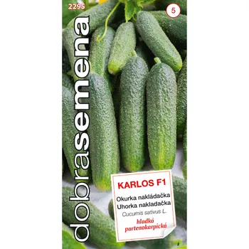 Semeno Dobrá semena Okurka nakl. - Karlos F1