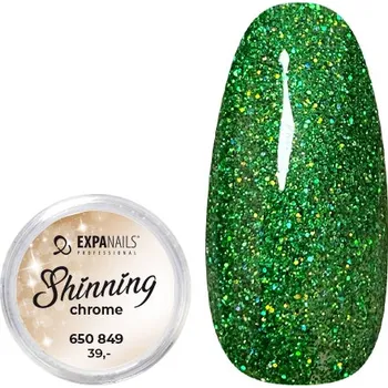 Třpytky - Shining Chrome glitter č.9 - 2g