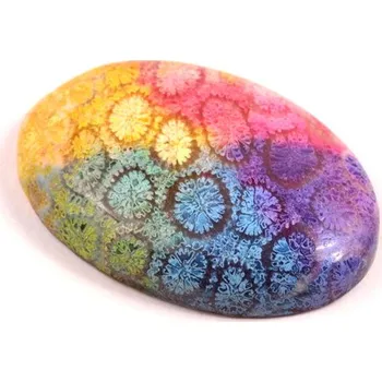 Přírodní kámen Kabošon Fossil Coral č.8323 (35x24x7mm)