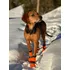 Obleček pro psa Non-stop Dogwear Contact Bootie High 4 ks