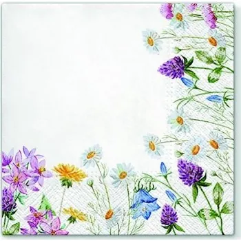 Papírový ubrousek Ubrousky PAW Dekor L (20ks) Spring Frame