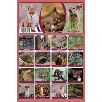 Pexeso MP pexeso A4 Savci