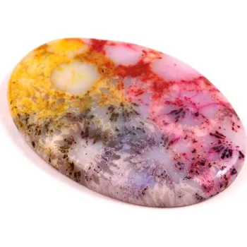 Přírodní kámen Kabošon Fossil Coral č.8311 (42x29x6mm)