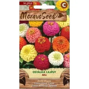 Semeno Ostálka lepá LILIPUT, směs