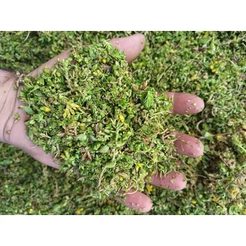 Sazenice GEOMAT Řízky rozchodníků SedumTopMix S/5 1 kg