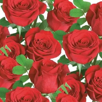 Papírový kapesník Ubrousky MAKI L (20ks) Classic Red Roses