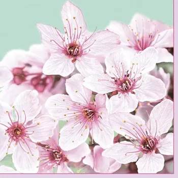 Papírový ubrousek Ubrousky DAISY L (20ks) Cherry Blossom