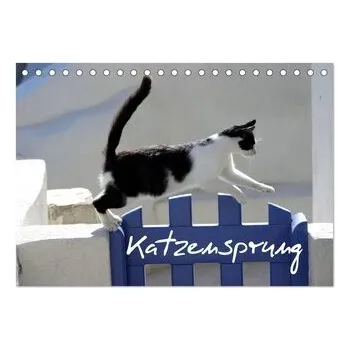 Cestování Katzensprung (Tischkalender 2026 DIN A5 quer), CALVENDO Monatskalender - Loos - Www. Shabbyflair. De, Alexandra