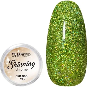 Třpytky - Shining Chrome glitter č.10 - 2g