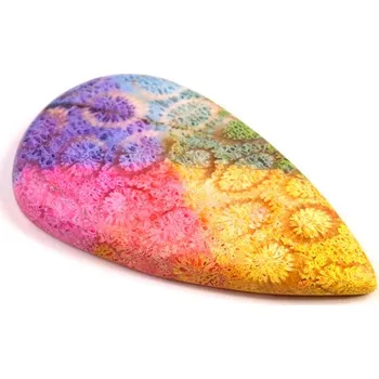 Přírodní kámen Kabošon Fossil Coral č.8316 (43x24x6mm)