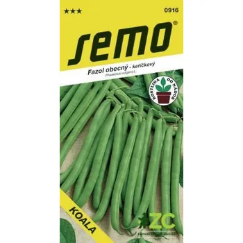 Semeno Semo Fazol keříčkový zelený - Koala