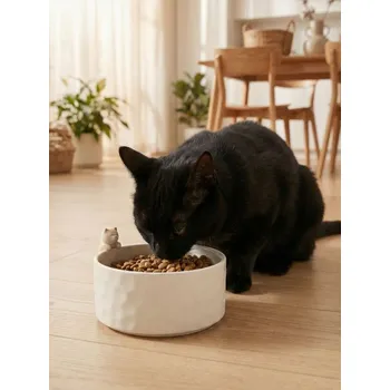 Miska pro psa Sinsay - Keramická miska pro mazlíčky s figurkou kočky - béžová - 816IA-02X - 816IA-02X-ONE