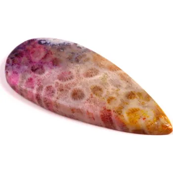 Přírodní kámen Kabošon Fossil Coral č.8310 (55x25x5mm)