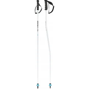 Sjezdová hůlka Lyžařské hole HEAD Worldcup SG Bílé, délka 130 cm