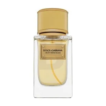 Dolce & Gabbana Velvet Mimosa Bloom parfémovaná voda pro ženy 50 ml