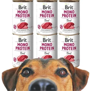 Krmivo pro psa Brit mokré krmivo krmivo 2,4 kg