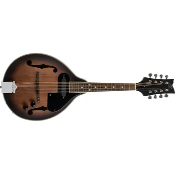 Ortega RMAE30-WB + prodloužená záruka 3 roky