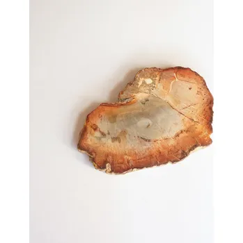 Drahý kámen ARAUKARIT (zkamenělé dřevo) Madagaskar, plátky/ 4.