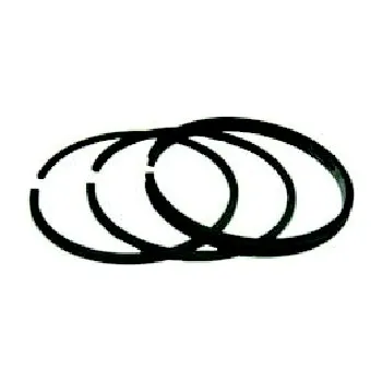 Příslušenství k zahradní technice Kroužek pístní pro BS 3, 3,5, 5 HP