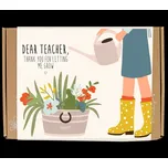 Blossombs Semínkové bomby - Dárková sada menší pro učitele - Květiny (7 ks)