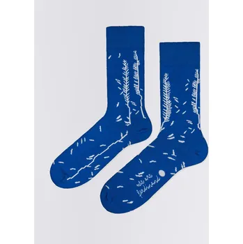 Pánské ponožky ferdinand Louka 36-39