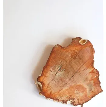 Drahý kámen ARAUKARIT (zkamenělé dřevo) Madagaskar, plátky/ 3.