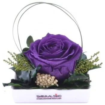 umělá květina Dekorace stabilizovaná růže Barva: Purple