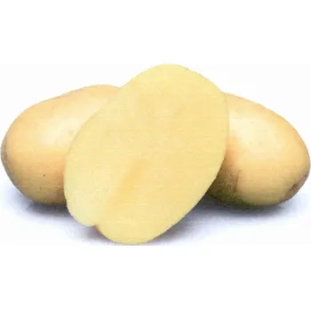 Semeno AGRI Slatinice Sadba Brambor AVANTI 25 kg