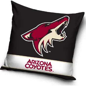 Bytový textil Polštář - NHL Arizona Coyotes 40 x 40cm