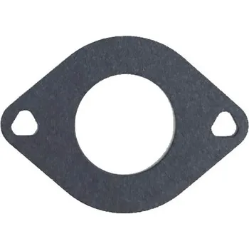Těsnění karburátoru pro BS 273650