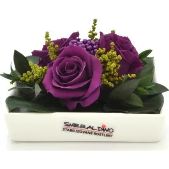 umělá květina Stabilizovaná růže Zina Barva: Purple